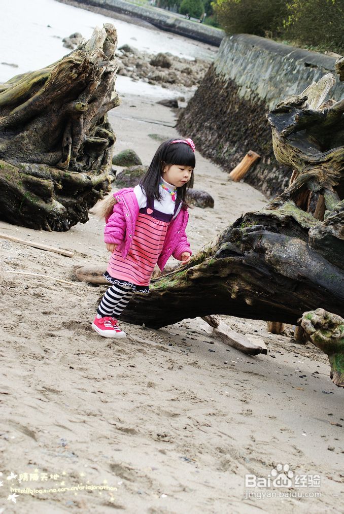 拾海的孩子&亲亲小动物(组图)