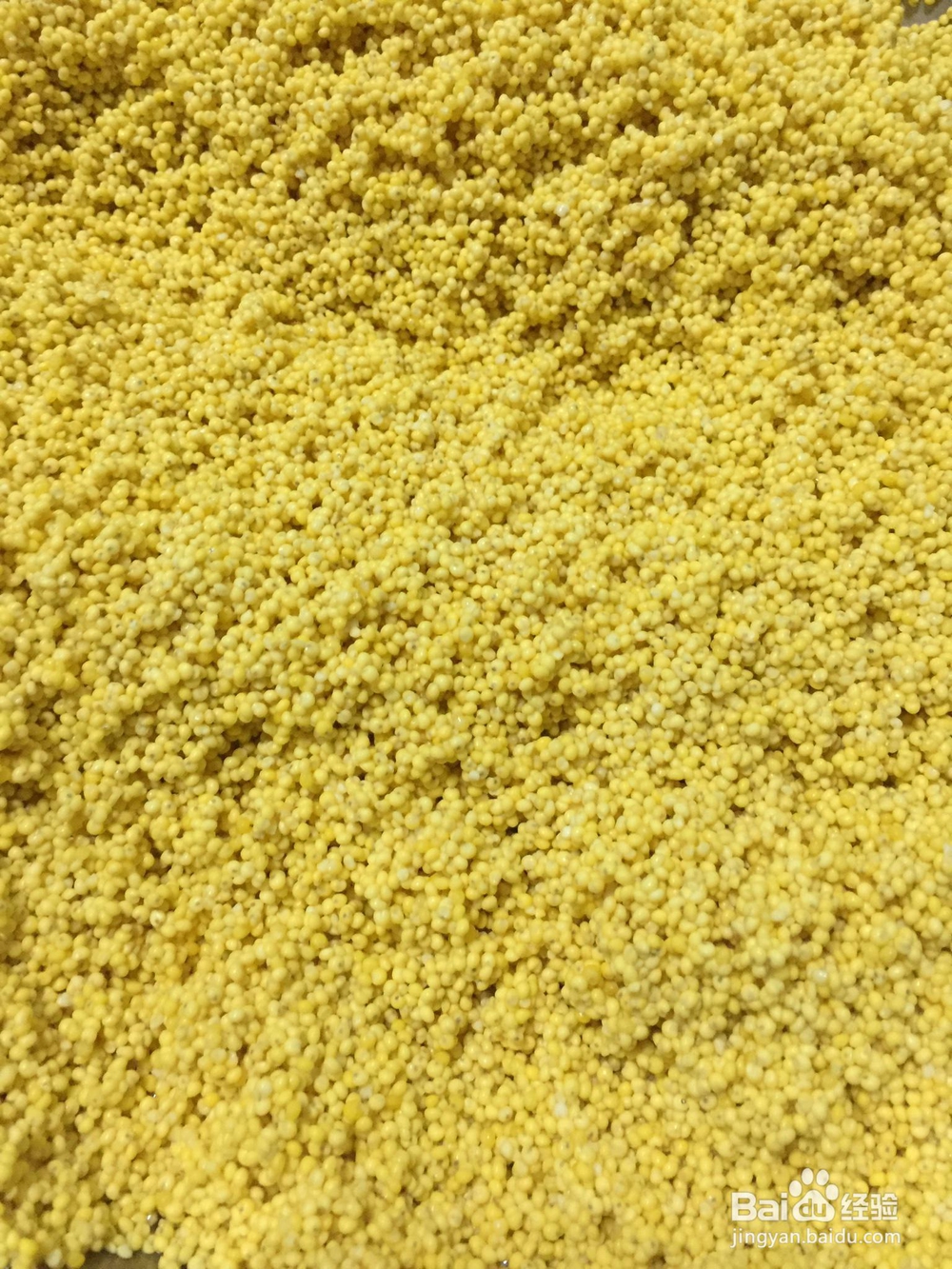 详细教你做蜜枣粽豆