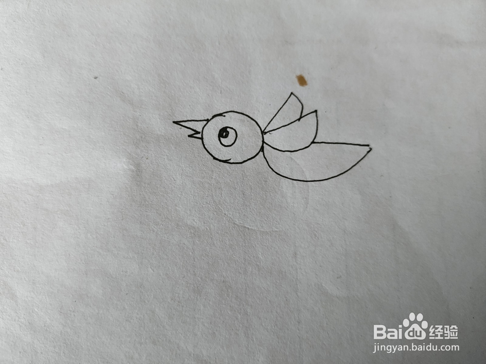 怎么一分钟画飞翔的小鸟简笔画