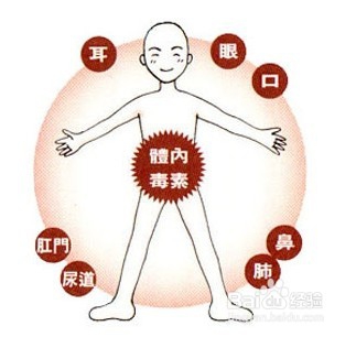 养生保健方法大全_如何有效地排出人体体内毒素