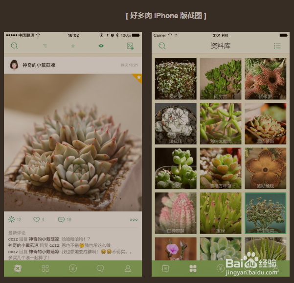 有没有识别植物的APP软件