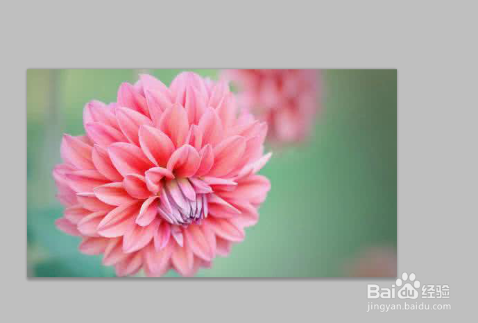 ps如何使用替换颜色?