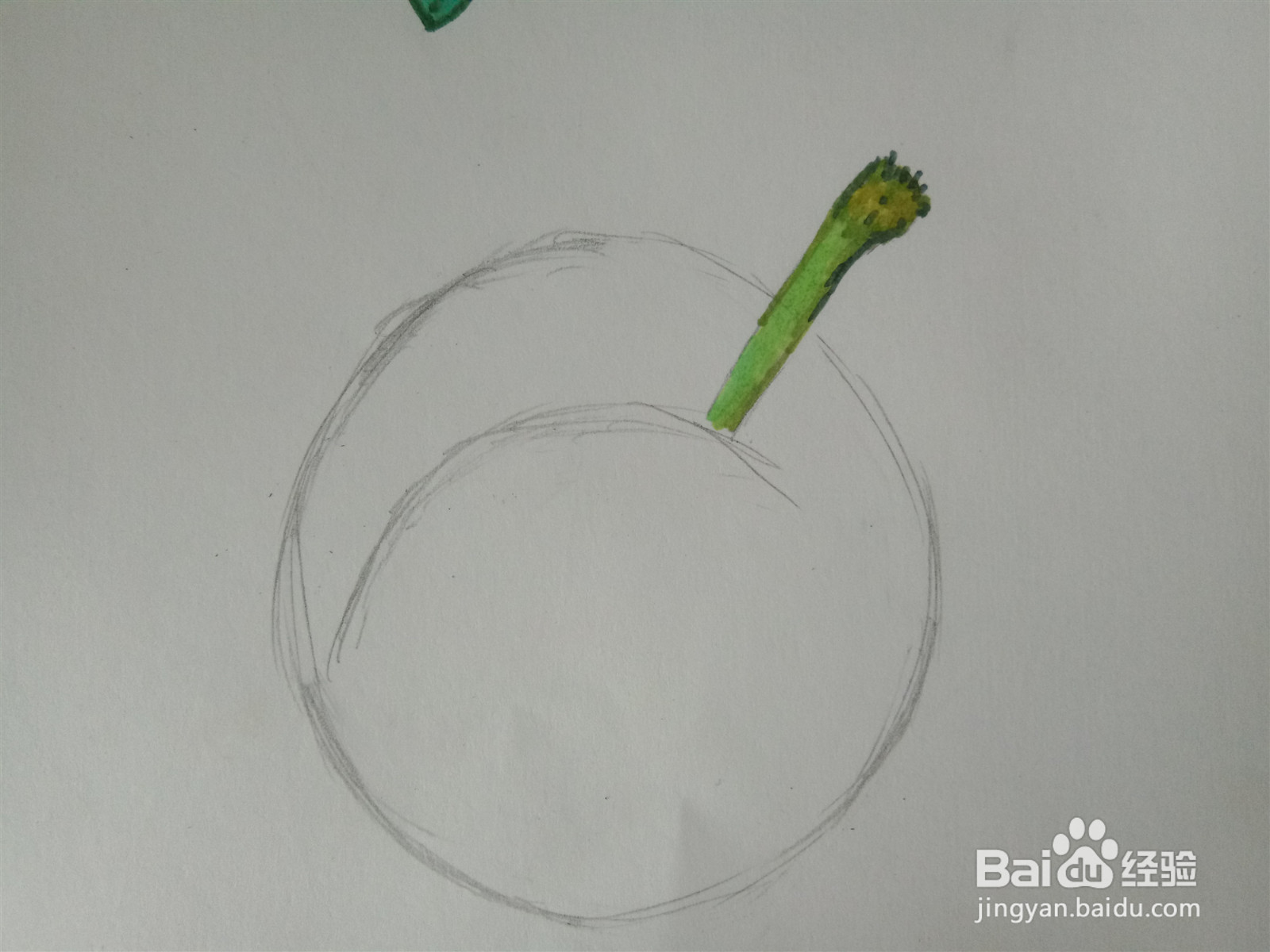 马克笔如何画樱桃