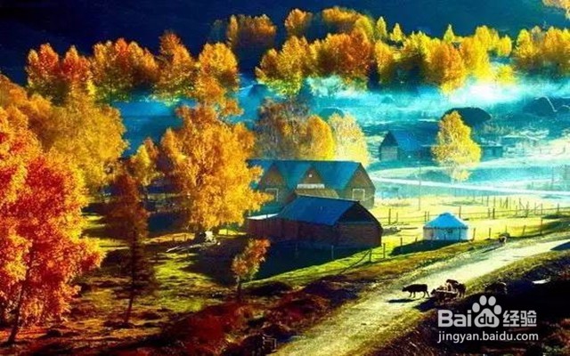 国庆低成本出游指南,避开人山人海爽快玩耍