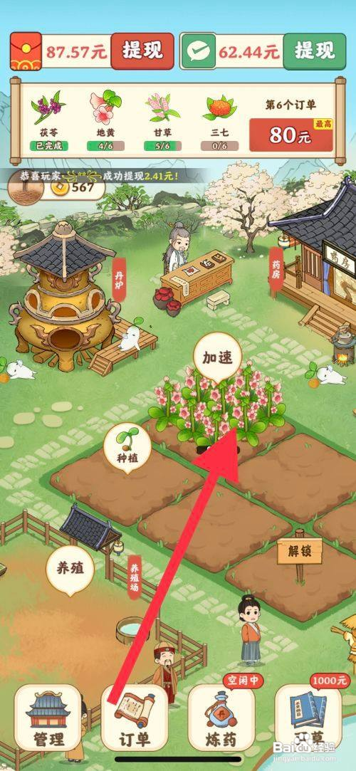 杏林世家怎么查看种植地黄