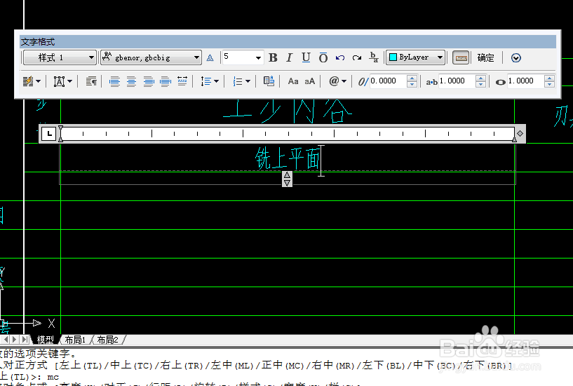 如何在CAD的指定区域输入文本文字?