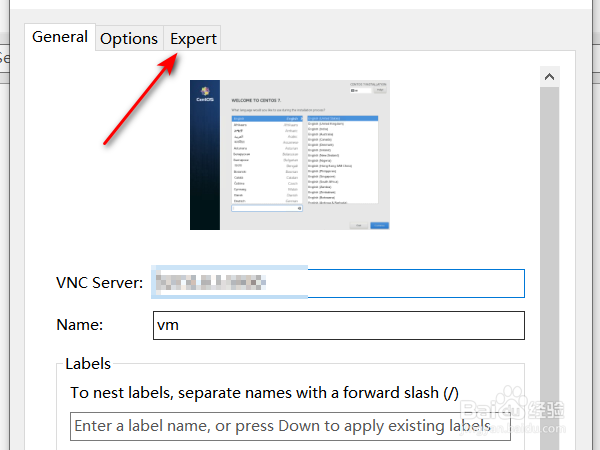 如何解决vnc Viewer远程连接时的闪退问题