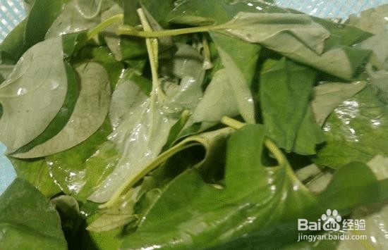 家庭自制鱼腥味草瘦肉汤