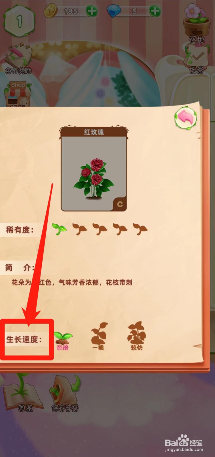 花花姑娘之魔法花园如何查看红玫瑰生长速度
