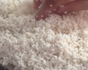 妈妈的招牌芥菜饭的做法