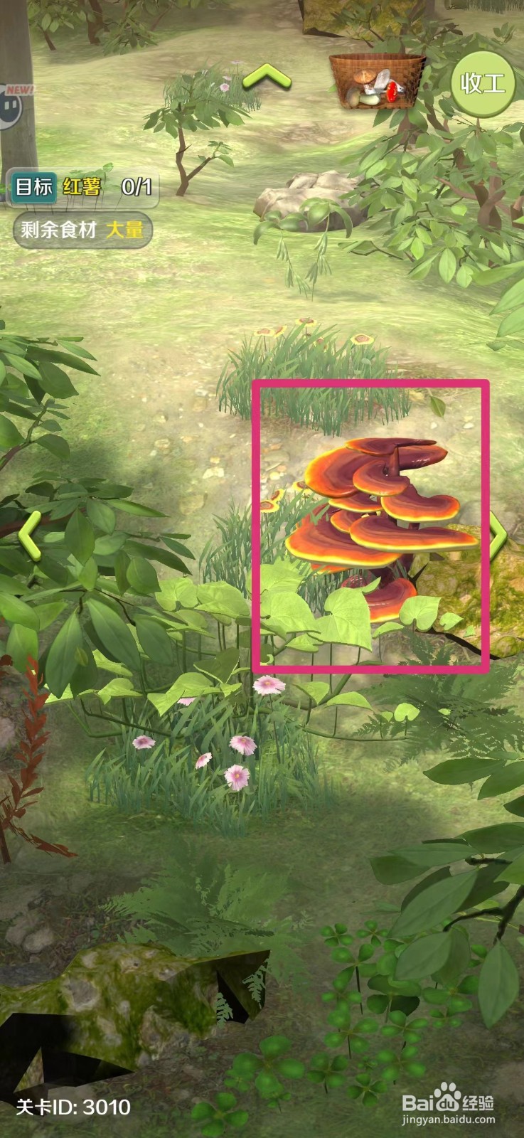 赶山赶海开饭店如何采集灵芝