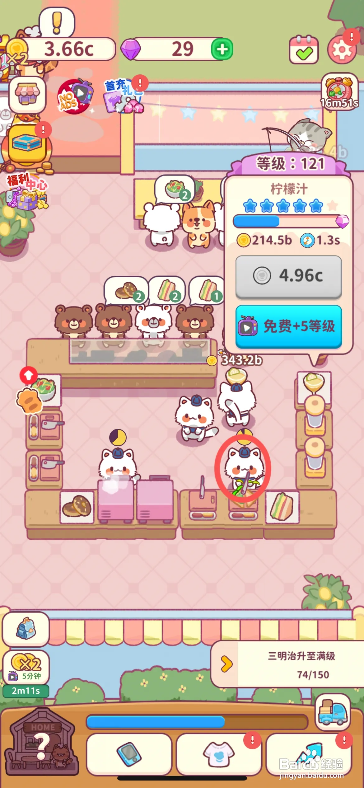 食物归类者怎么给猫咪穿戴公主围巾