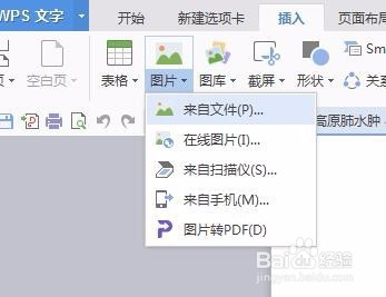 怎么在word里自定义插入图片和剪裁图片