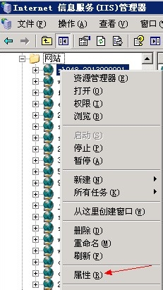 一个空间如何绑定多个域名：[1]IIS绑定