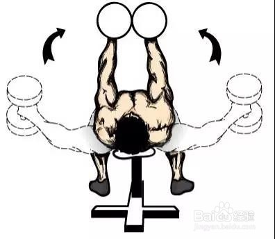 只需一对哑铃,在家锻炼全身肌肉!