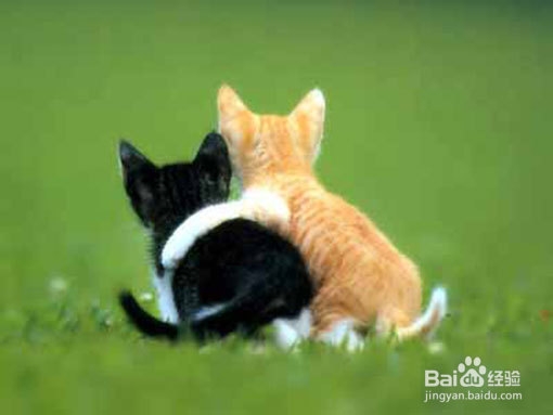 怎样才能搞好人际关系