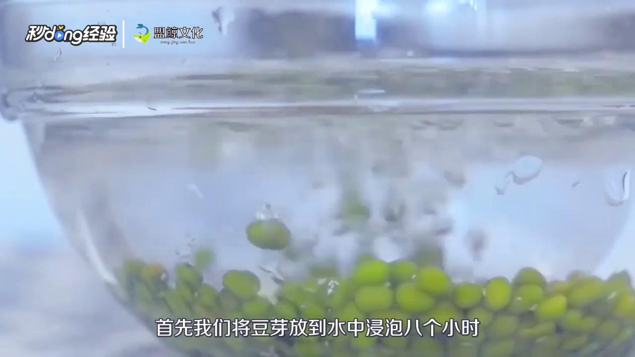 可乐瓶生豆芽的方法