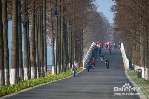 东湖绿道有什么好玩的