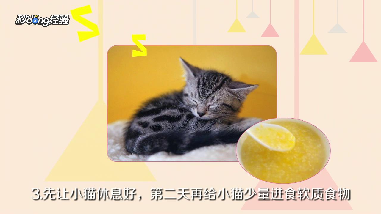 猫咪为什么呕吐没有消化的猫粮