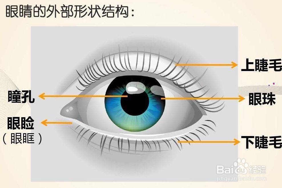 <b>有一种行动，呵护眼睛更加健康！</b>