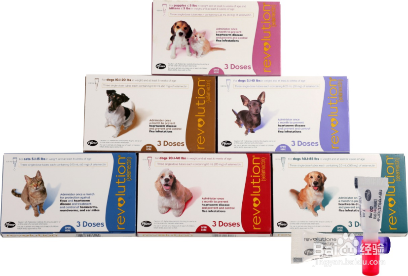 大宠爱和爱沃克哪个好？看这一篇便知晓