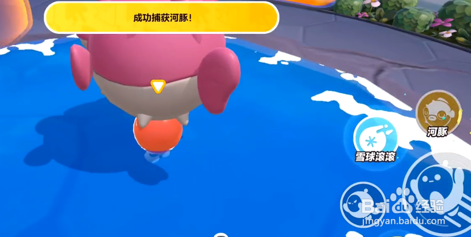 蛋仔派对怎么摸到大河豚