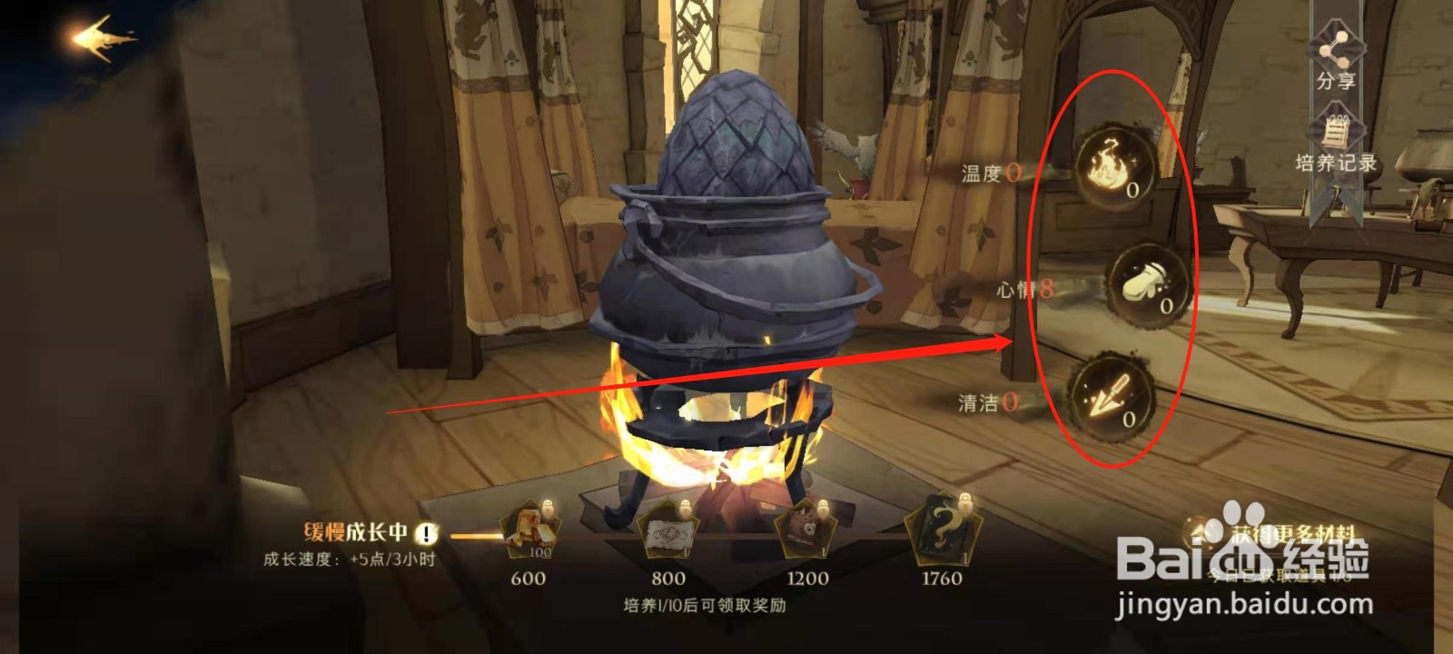 哈利波特魔法觉醒龙蛋的秘密怎么进入