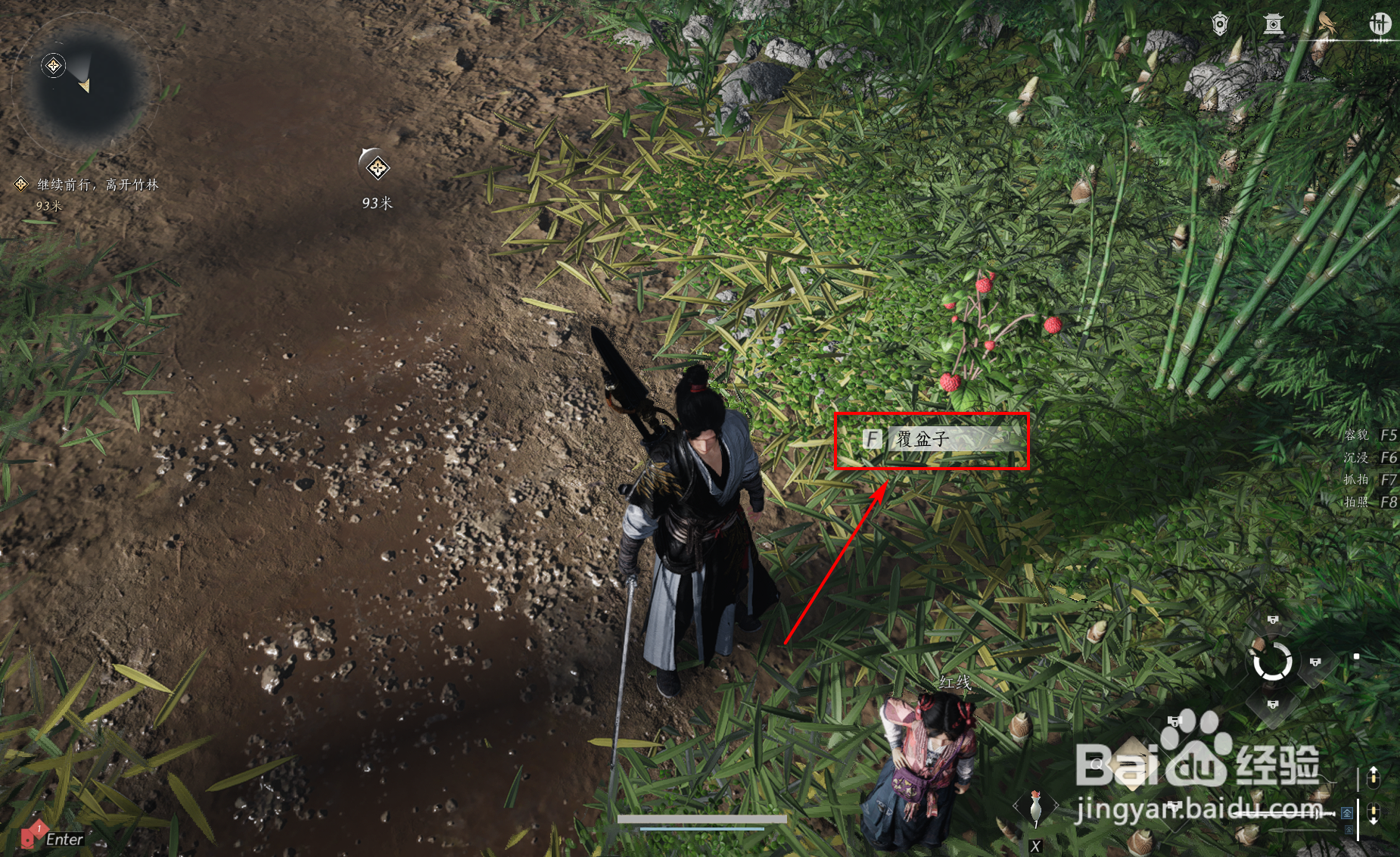 燕云十六声怎么获得野果