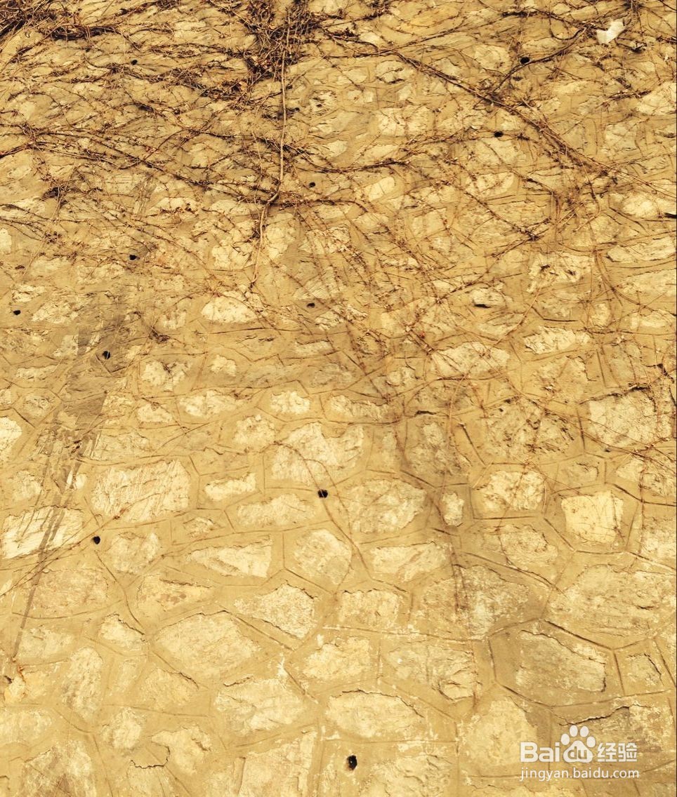 如何让老人快乐的生活？