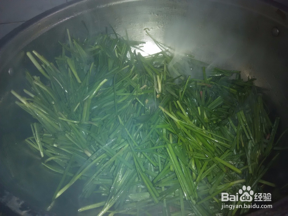 居家之红绿长寿菜