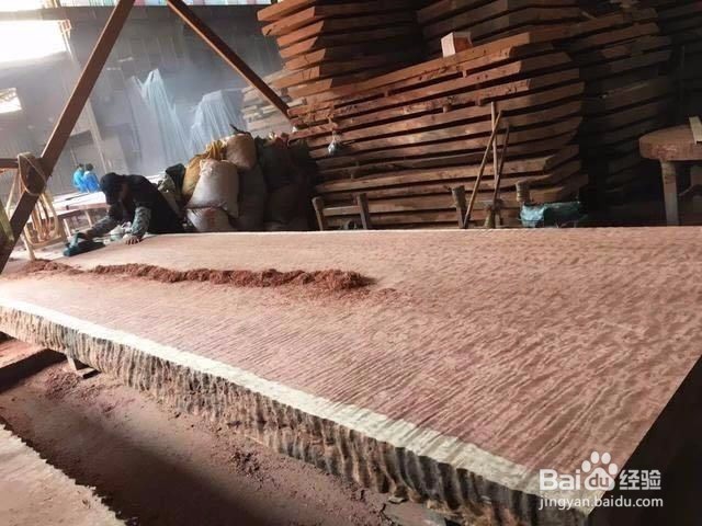 红木老师傅现场处理3400年非洲树王