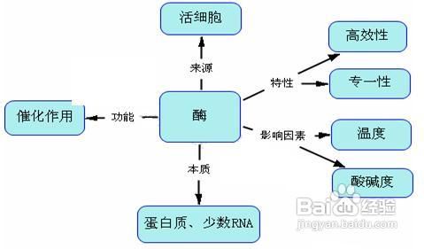 怎样使用洗衣粉洗涤衣服