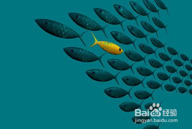 迅雷是如何掉队的