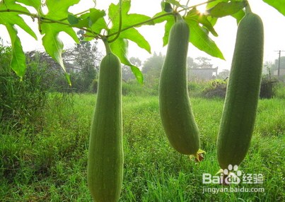 美白、祛斑、祛痘、补水小秘诀，让肌肤喝饱水！