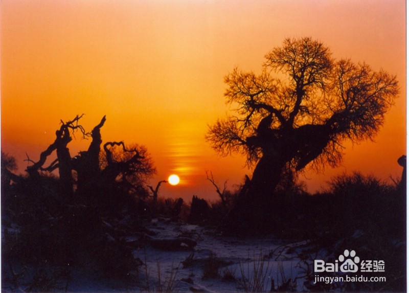 已知(x+17)+(x+12)=7,求x的值的方法