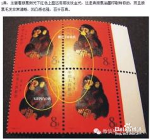 集邮入门者如何选择应用保存放大镜