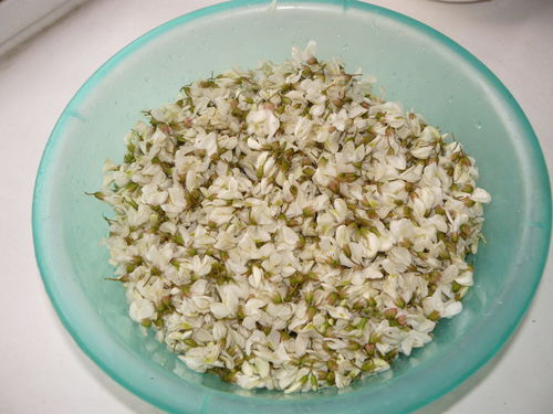 槐花的两种吃饭