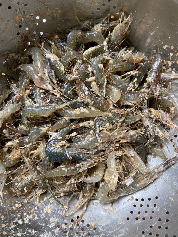 春季补钙油爆小河虾