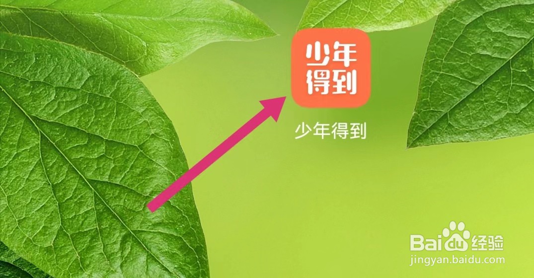 少年得到APP如何查看邮寄单