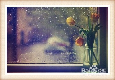 阴雨天和什么更配？