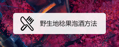 野生地稔果泡酒方法