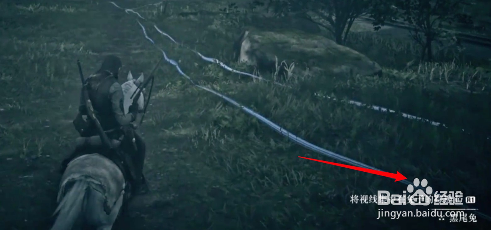 荒野大镖客2兔子完美皮怎么打