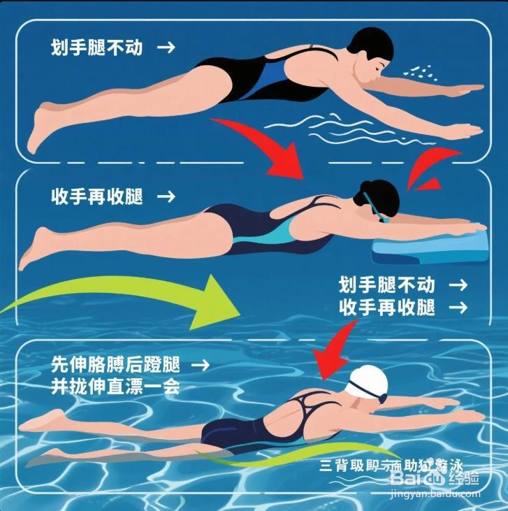 如何快速学会蛙泳，亲测