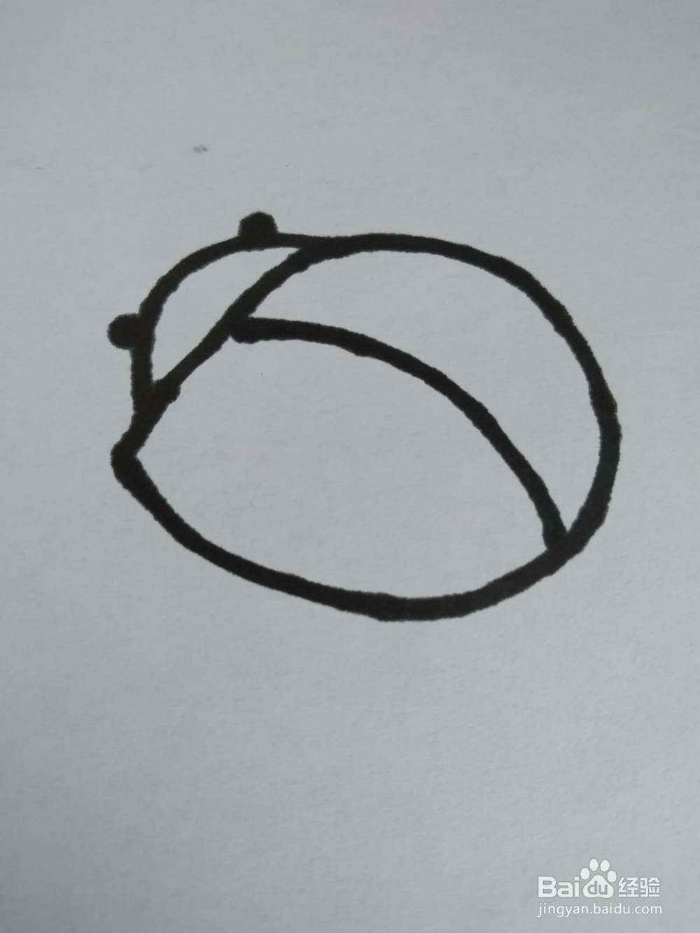 瓢虫的简笔画技法3