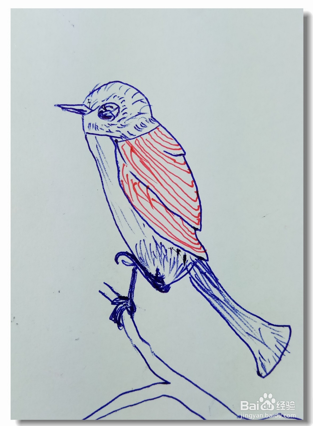 怎样画简笔画“单脚立枝鸟