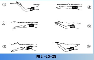 教你蝶泳技术详解