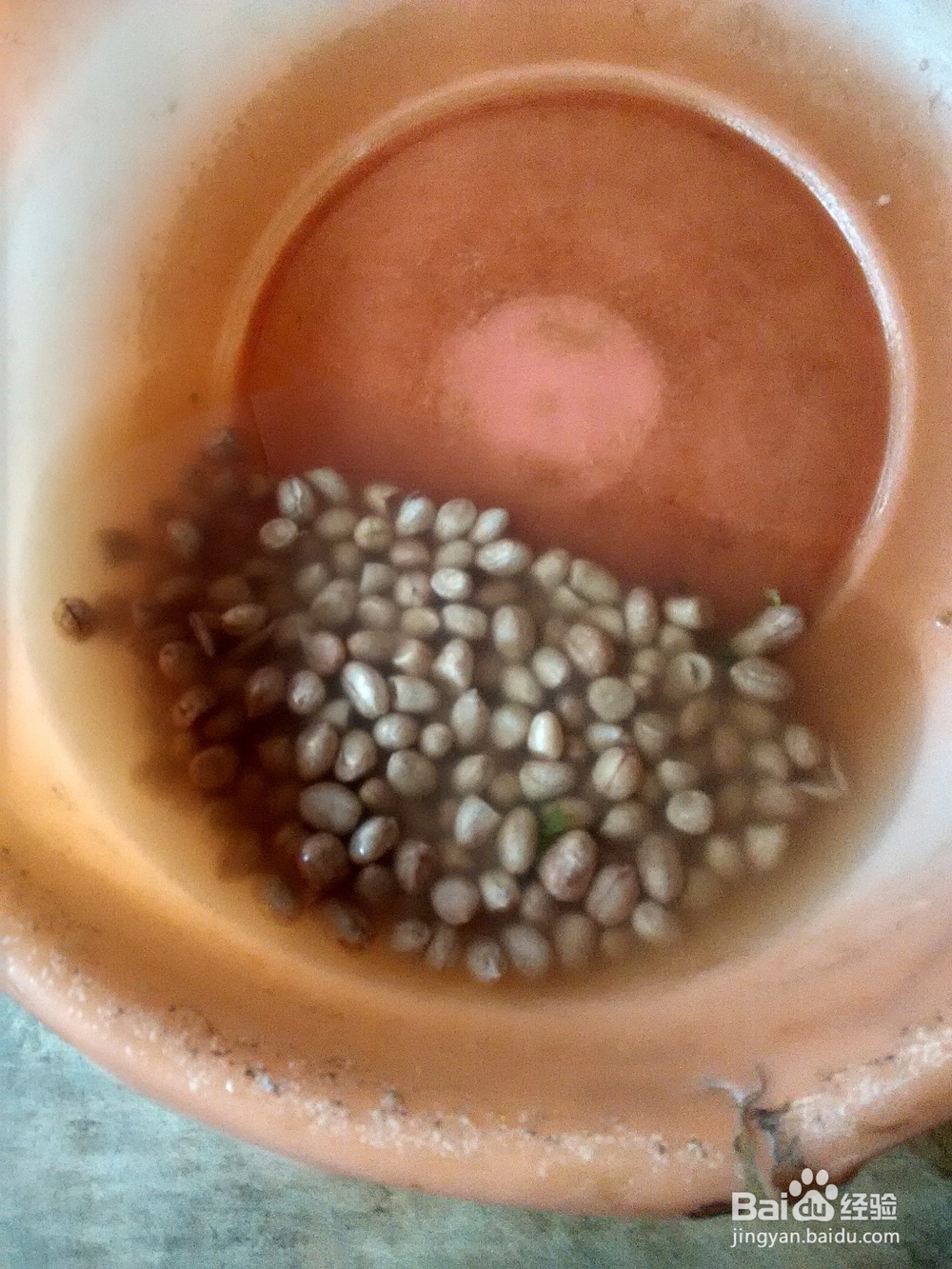 简便之芹菜拌花生