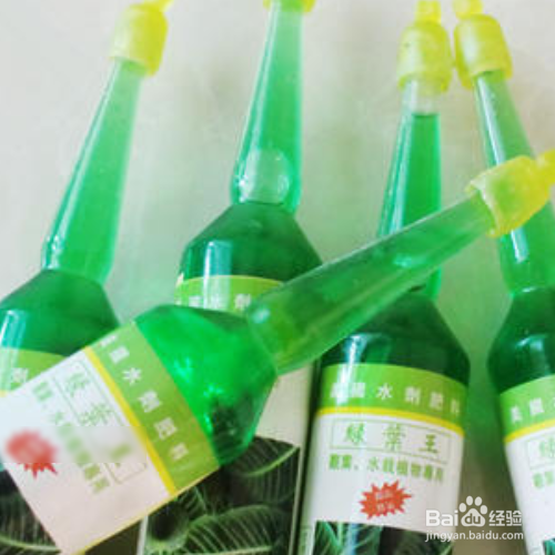 营养液是浇根部还是喷叶面
