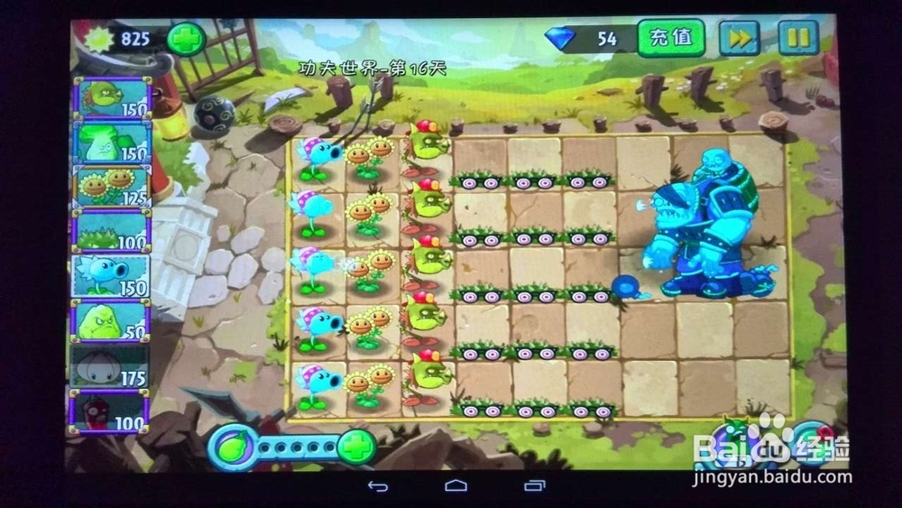 植物大战僵尸2功夫世界第29、16天攻略