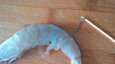 蒜香烤虾的做法